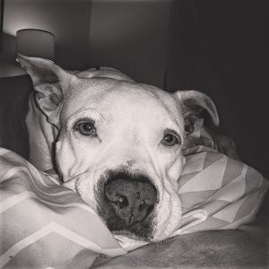 Meet your Posher, Melody